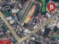 ขายที่ดินเปล่า เนื้อที่ 3 งาน 44.1 ตร.วา บ้านกล้วย ชัยนาท-202508051637591754386679240.jpg