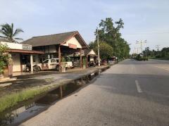 ขายที่ดิน 1 ไร่ ห่างจากปากทางเข้าบึงราชนก 1.5 กม. ขาย 3500000 บาท สนใจติดต่อ 0935244914-202508051727341754389654188.jpg