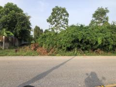 ขายที่ดิน 1 ไร่ ห่างจากปากทางเข้าบึงราชนก 1.5 กม. ขาย 3500000 บาท สนใจติดต่อ 0935244914-202508051727431754389663457.jpg