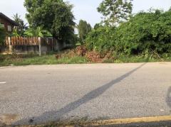 ขายที่ดิน 1 ไร่ ห่างจากปากทางเข้าบึงราชนก 1.5 กม. ขาย 3500000 บาท สนใจติดต่อ 0935244914-202508051727461754389666538.jpg