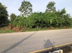 ขายที่ดิน 1 ไร่ ห่างจากปากทางเข้าบึงราชนก 1.5 กม. ขาย 3500000 บาท สนใจติดต่อ 0935244914-202508051727591754389679312.jpg