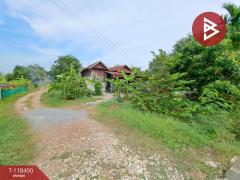 ขายที่ดิน เนื้อที่ 2 ไร่ บางใหญ่ นนทบุรี-202508060930491754447449109.jpg