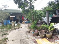 ขาย ที่ดิน ME379 แปลงเล็ก รูปแปลงสวย ราคาถูก มาบโป่ง พานทอง ชลบุรี . 2 ไร่ 44.5 ตรว ทำเลดี EECสีส้ม ใกล้อมตะชลบุรี ถนนศุกประยูร เพียง 650 m.-202508060944021754448242794.jpg