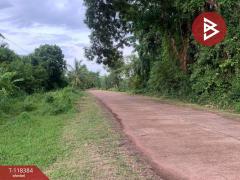 ขายที่ดินถมแล้ว เนื้อที่ 2 งาน 81 ตร.วา พรรณานิคม สกลนคร-202508060959181754449158564.jpg