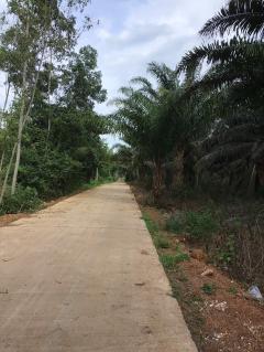  ขายที่ดิน 25 ไร่ อ.กบินทร์บุรี จ.ปราจีนบุรี-202508061056431754452603537.jpeg