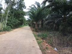  ขายที่ดิน 25 ไร่ อ.กบินทร์บุรี จ.ปราจีนบุรี-202508061056441754452604170.jpeg