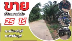  ขายที่ดิน 25 ไร่ อ.กบินทร์บุรี จ.ปราจีนบุรี