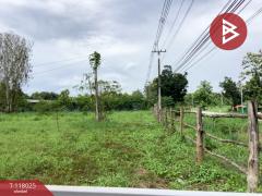 ขายที่ดิน เนื้อที่ 47 ไร่ 65 ตร.วา น้ำปาด อุตรดิตถ์-202508061233441754458424831.jpg