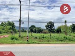 ขายที่ดิน เนื้อที่ 47 ไร่ 65 ตร.วา น้ำปาด อุตรดิตถ์-202508061233451754458425367.jpg