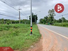 ขายที่ดิน เนื้อที่ 47 ไร่ 65 ตร.วา น้ำปาด อุตรดิตถ์-202508061233451754458425902.jpg