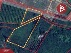 ขายที่ดิน เนื้อที่ 9 ไร่ 1 งาน 48 ตร.วา แกลง ระยอง-202508061244081754459048257.jpg