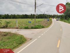 ขายที่ดิน เนื้อที่ 9 ไร่ 1 งาน 48 ตร.วา แกลง ระยอง-202508061244091754459049874.jpg