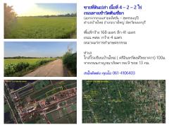 ขายที่ดินเปล่า เนื้อที่ 4–2–2 ไร่ ถนนทางเข้าวัดต้นเชือก
