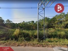ขายที่ดิน เนื้อที่ 27 ไร่ 2 งาน 41 ตร.วา หนองบัว หนองบัวลำภู-202508061451481754466708773.jpg