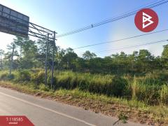 ขายที่ดิน เนื้อที่ 27 ไร่ 2 งาน 41 ตร.วา หนองบัว หนองบัวลำภู-202508061451491754466709894.jpg
