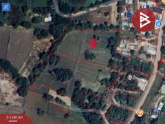 ขายที่ดิน เนื้อที่ 12 ไร่ 1 งาน 61 ตร.วา หนองกระโดน นครสวรรค์-202508061500541754467254809.jpg