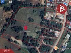 ขายที่ดิน เนื้อที่ 12 ไร่ 1 งาน 61 ตร.วา หนองกระโดน นครสวรรค์-202508061500551754467255365.jpg