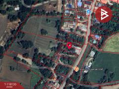 ขายที่ดิน เนื้อที่ 12 ไร่ 1 งาน 61 ตร.วา หนองกระโดน นครสวรรค์-202508061500551754467255895.jpg