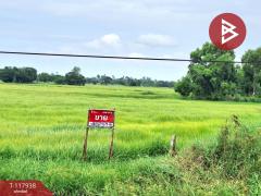 ขายที่ดิน-เนื้อที่-5-ไร่-1-งาน-68-ตร.วา-อา