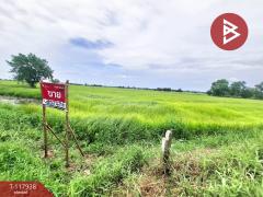ขายที่ดิน เนื้อที่ 5 ไร่ 1 งาน 68 ตร.วา อาจสามารถ ร้อยเอ็ด-202508061505291754467529631.jpg