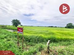ขายที่ดิน เนื้อที่ 5 ไร่ 1 งาน 68 ตร.วา อาจสามารถ ร้อยเอ็ด-202508061505321754467532410.jpg