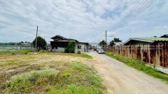 ขายที่ดิน ใกล้ อบต.ไทรใหญ่ อ.ไทรน้อย จ.นนทบุรี พื้นที่ 3-1-87 ไร่ ถมแล้ว ทำเลดี ติดถนน-ติดคลอง ติดโรงเบียร์ไฮเนเก้น-202508061507291754467649948.jpeg