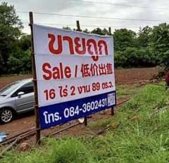 ขายด่วน ที่ดิน จ.ตาก มีต้นสัก 1000 กว่าต้น-202508061636431754473003166.jpg