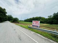 ขายด่วน ที่ดิน จ.ตาก มีต้นสัก 1000 กว่าต้น-202508061636431754473003740.jpg