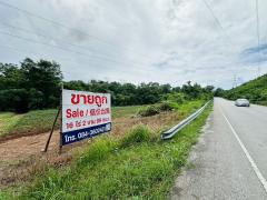 ขายด่วน ที่ดิน จ.ตาก มีต้นสัก 1000 กว่าต้น-202508061636441754473004571.jpg
