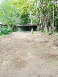 ขายด่วน ที่ดิน จ.ตาก มีต้นสัก 1000 กว่าต้น-202508061636481754473008159.jpg