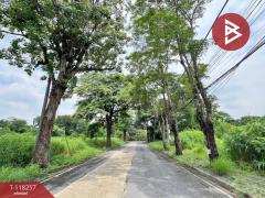ขายที่ดิน หมู่บ้านนวธานี เสรีไทย 59 บึงกุ่ม กรุงเทพมหานคร-202508061636541754473014507.jpg