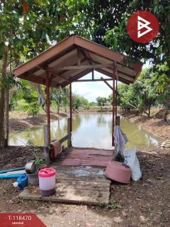 ขายที่ดิน เนื้อที่ 1 ไร่ หนองจอก กรุงเทพมหานคร-202508061702071754474527469.jpg