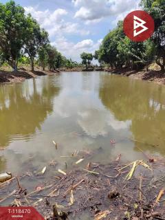 ขายที่ดิน เนื้อที่ 1 ไร่ หนองจอก กรุงเทพมหานคร-202508061702081754474528183.jpg