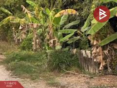 ขายที่ดิน เนื้อที่ 1 ไร่ หนองจอก กรุงเทพมหานคร-202508061702111754474531299.jpg