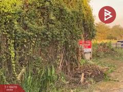 ขายที่ดิน เนื้อที่ 1 ไร่ หนองจอก กรุงเทพมหานคร-202508061702111754474531986.jpg