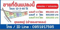 ที่ดินโฉนดแบ่งขายราคาถูก มีเพียง 9 แปลงเท่านั้น
