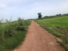 ขายที่ดิน 14 ไร่บ้านบอนแดงหมู่ 5 ติดคลองชลประทานเขตเทศบาลพันเสา