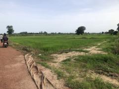 ขายที่ดิน 14 ไร่บ้านบอนแดงหมู่ 5 ติดคลองชลประทานเขตเทศบาลพันเสา-202508061947141754484434670.jpg