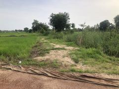 ขายที่ดิน 14 ไร่บ้านบอนแดงหมู่ 5 ติดคลองชลประทานเขตเทศบาลพันเสา-202508061947171754484437496.jpg