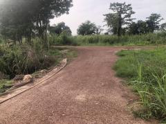 ขายที่ดิน 14 ไร่บ้านบอนแดงหมู่ 5 ติดคลองชลประทานเขตเทศบาลพันเสา-202508061947201754484440545.jpg