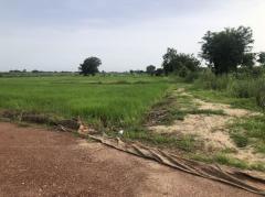 ขายที่ดิน 14 ไร่บ้านบอนแดงหมู่ 5 ติดคลองชลประทานเขตเทศบาลพันเสา-202508061947231754484443261.jpg