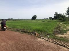 ขายที่ดิน 14 ไร่บ้านบอนแดงหมู่ 5 ติดคลองชลประทานเขตเทศบาลพันเสา-202508061947331754484453725.jpg