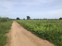 ขายที่ดิน 69 ไร่ ขายไร่ละ 165,000 บาท บ้านดงโคกขามเทศบาลบึงระมาน