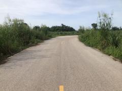 ขายที่ดิน 69 ไร่ ขายไร่ละ 165,000 บาท บ้านดงโคกขามเทศบาลบึงระมาน-202508070143281754505808989.jpg