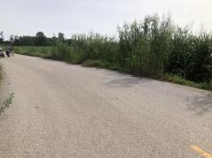 ขายที่ดิน 69 ไร่ ขายไร่ละ 165,000 บาท บ้านดงโคกขามเทศบาลบึงระมาน-202508070143351754505815428.jpg