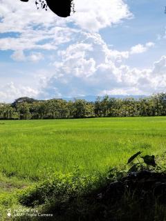 ขายที่ดิน ม.บ้านห้วยทรายขาว อ.พาน จ.เชียงรายห่างจากถนนพหลโยธินประมาณ100 เมตร น้ำไม่ท่วม