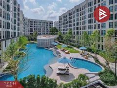 ขาย/เช่า คอนโด ยูนิโอ สุขุมวิท72 เฟส 1 (Unio Sukhumvit72) สมุทรปราการ-202508071232061754544726157.jpg