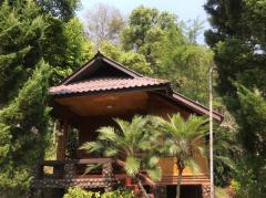 ที่ดินแปลงใหญ่พร้อมกิจการรีสอร์ท ใจกลางธรรมชาติ อ.แม่จัน จ.เชียงราย-202508071344241754549064303.jpg