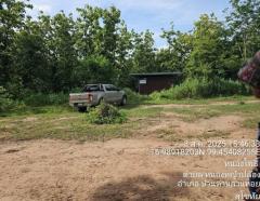 ขายที่ดินพร้อมบ้าน 1 หลัง 320 ไร่ ถ.ตาก-สุโขทัย (ทล.หมายเลข 12) ต.หนองหญ้าปล้อง อ.บ้านด่านลานหอย สุโขทัย ปลูกไม้ยูคา ใกล้รร.หนองหญ้าปล้อง       