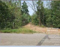 ขายที่ดินพร้อมบ้าน 1 หลัง 320 ไร่ ถ.ตาก-สุโขทัย (ทล.หมายเลข 12) ต.หนองหญ้าปล้อง อ.บ้านด่านลานหอย สุโขทัย ปลูกไม้ยูคา ใกล้รร.หนองหญ้าปล้อง       -202508071407411754550461065.jpg